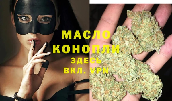 мет Алексин