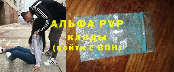 мет Алексин