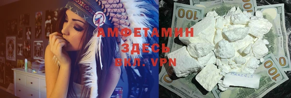 мет Алексин