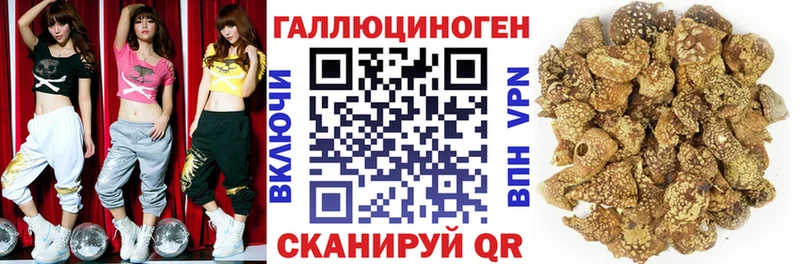 Псилоцибиновые грибы Cubensis  Зеленоградск 